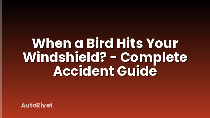 When a Bird Hits Your Windshield? - Complete Accident Guide