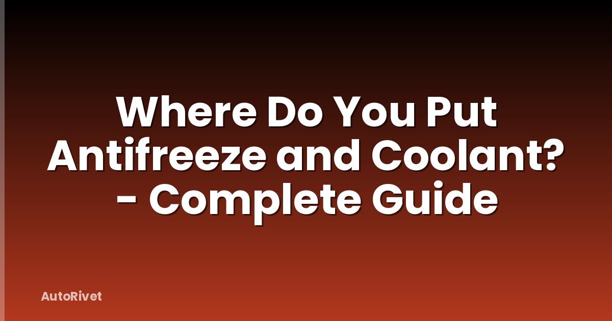 Where Do You Put Antifreeze and Coolant? - Complete Guide