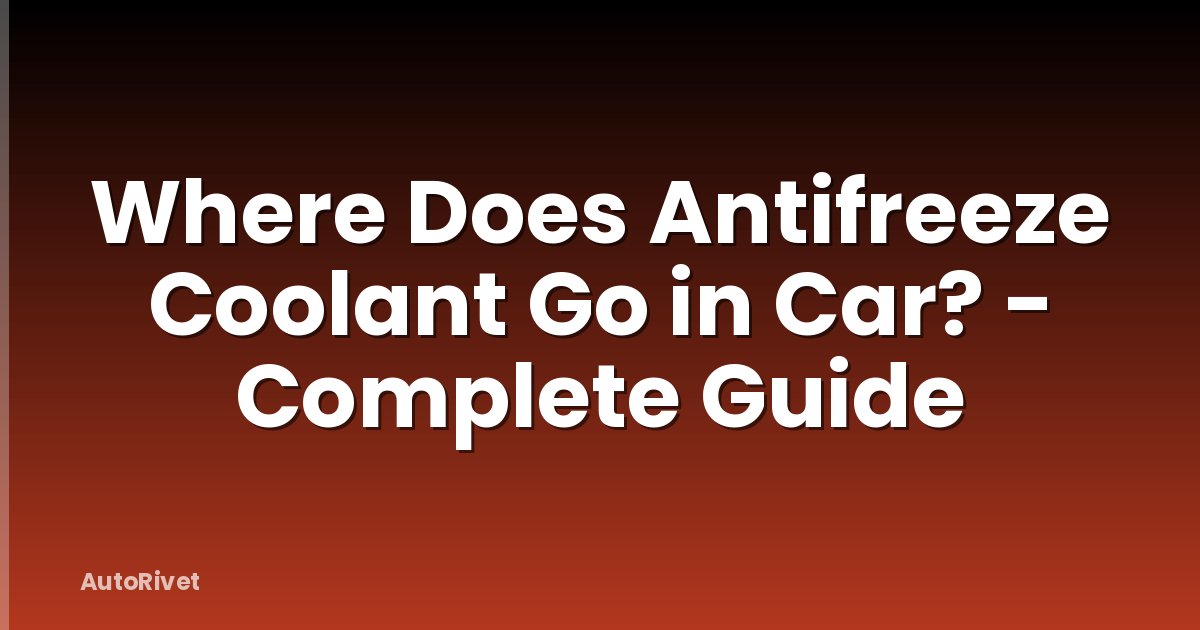 Where Does Antifreeze Coolant Go in Car? - Complete Guide