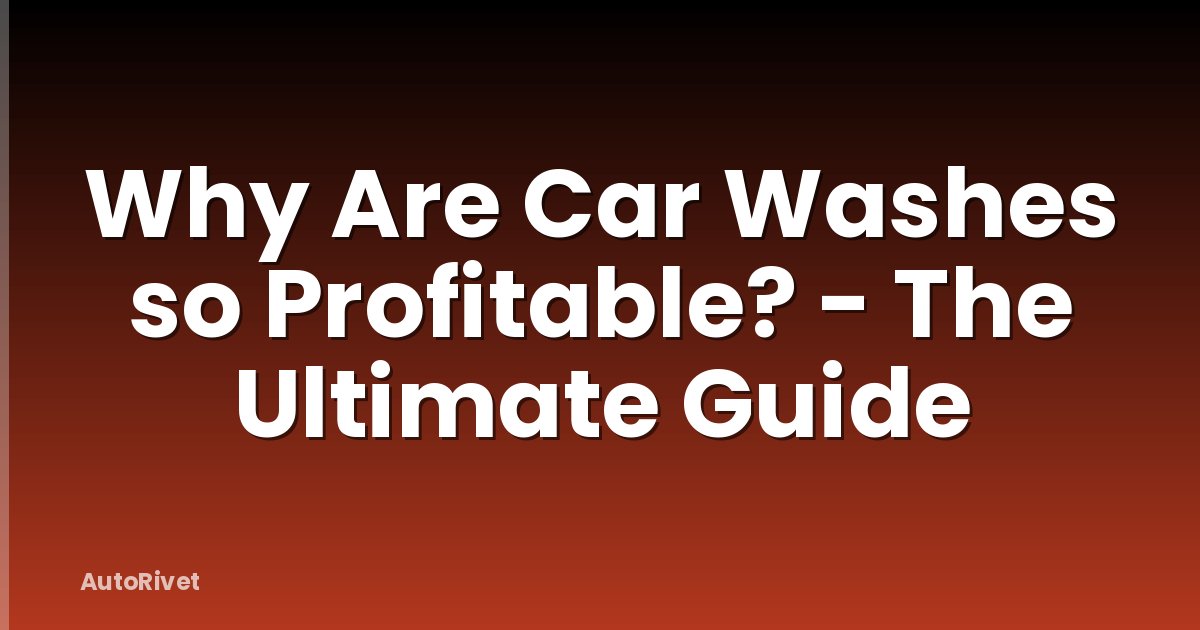 Why Are Car Washes so Profitable? - The Ultimate Guide