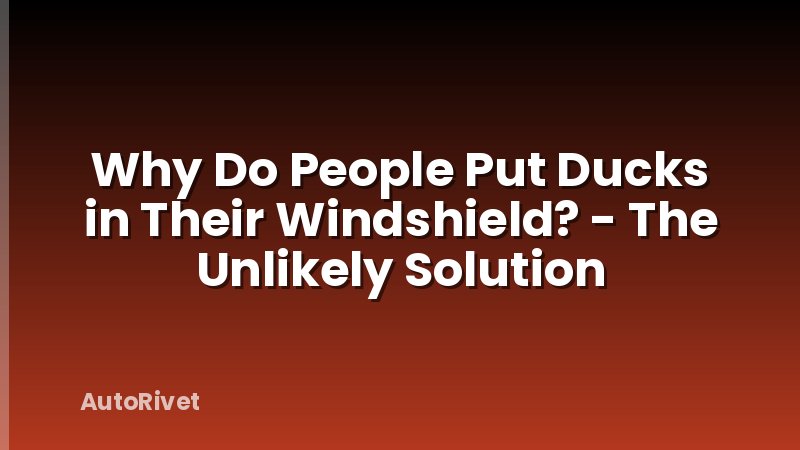 Why Do People Put Ducks in Their Windshield? - The Unlikely Solution