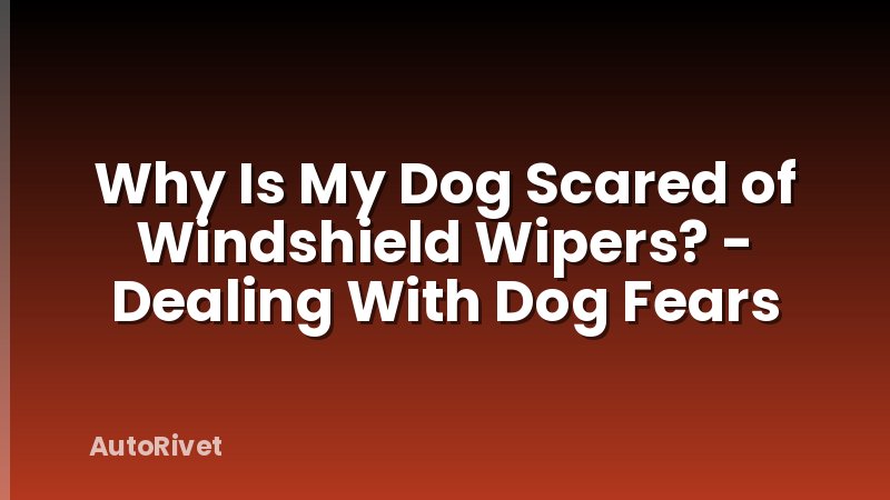 Why Is My Dog Scared of Windshield Wipers? - Dealing With Dog Fears