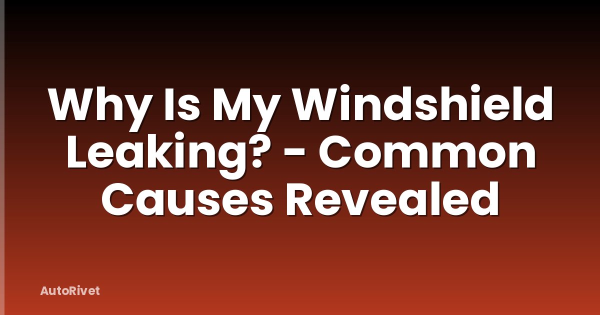 Why Is My Windshield Leaking? - Common Causes Revealed