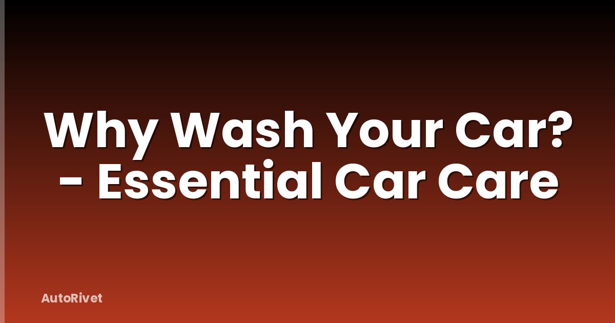 Why Wash Your Car? - Essential Car Care