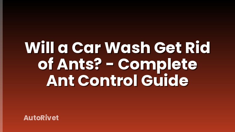 Will a Car Wash Get Rid of Ants? - Complete Ant Control Guide
