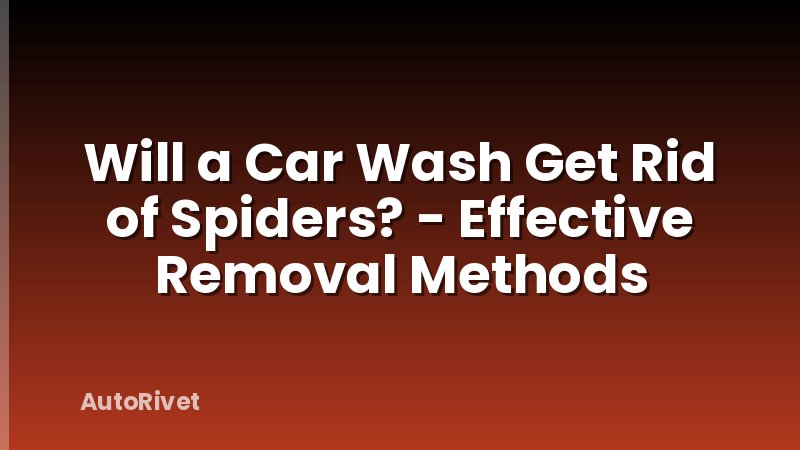 Will a Car Wash Get Rid of Spiders? - Effective Removal Methods