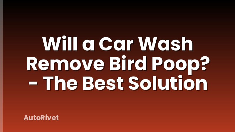 Will a Car Wash Remove Bird Poop? - The Best Solution