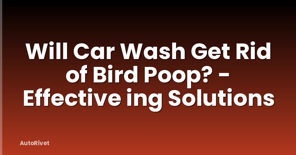 Will Car Wash Get Rid of Bird Poop? - Effective ing Solutions