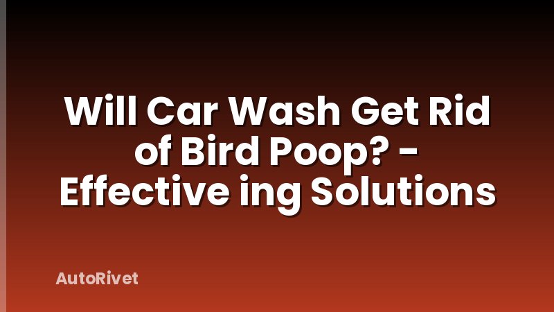 Will Car Wash Get Rid of Bird Poop? - Effective ing Solutions