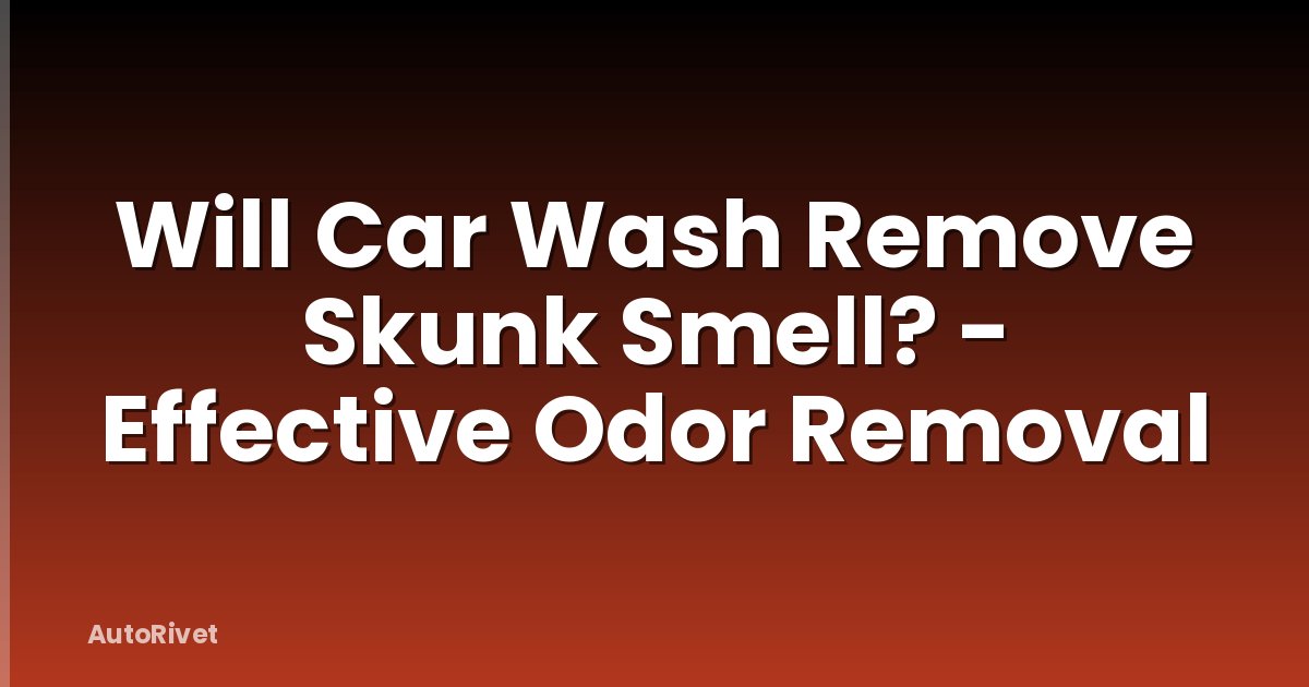 Will Car Wash Remove Skunk Smell? - Effective Odor Removal