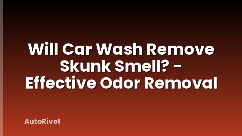 Will Car Wash Remove Skunk Smell? - Effective Odor Removal